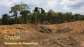  Presentation with oil palm plantation - PPT theme having kuching-malaysia-may-04-2014 background and a tawny brown colored foreground