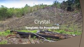  Presentation with oil palm plantation - 