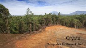  Presentation with plantation palm oil - 