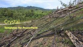  Presentation with oil palm plantation - 