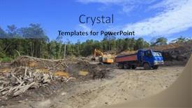  Presentation with palm oil - 