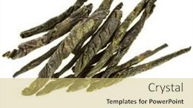  Presentation with tea - Theme consisting of kuding-natural-tea-close-up background and a yellow colored foreground