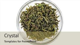  Presentation with tea leaves - Slides having kuding tea leaves in bowl isolated on white background and a gold colored foreground