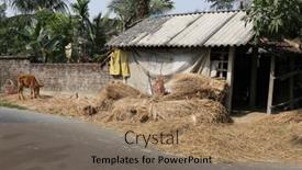  Presentation with village india - Slide deck featuring kumrokhali-india-february-13-cattle background and a coral colored foreground