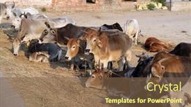  Presentation with village india - Audience pleasing slides consisting of kumrokhali-india-february-13 backdrop and a tawny brown colored foreground