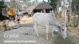  Presentation with village india - 