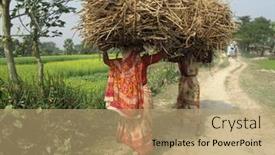  Presentation with shipping - 