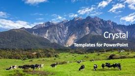  Presentation with grazing - Cool new presentation design with kundasang sabah borneo malaysia backdrop and a ocean colored foreground