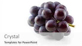 Presentation with grape vine black grapes - Presentation theme with kyoho-grapes-giant-mountain-grapes background and a white colored foreground