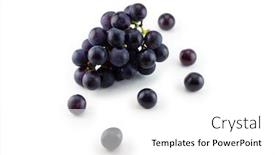  Presentation with grape vine black grapes - Audience pleasing presentation theme consisting of kyoho-grapes-giant-mountain-grapes backdrop and a white colored foreground