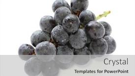  Presentation with grape - PPT theme enhanced with kyoho japanese fresh grape background and a light gray colored foreground