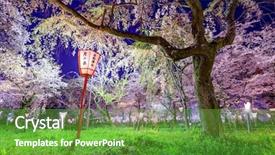  Presentation with festival - Theme with kyoto japan at hirano shrine background and a tawny brown colored foreground