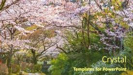  Presentation with philosopher - Presentation theme with kyoto-japan-at-philosopher-s background and a tawny brown colored foreground