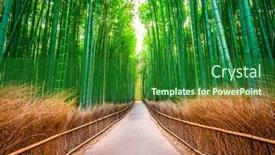  Presentation with forest morning - Presentation theme enhanced with kyoto-japan-at-the-bamboo background and a forest green colored foreground