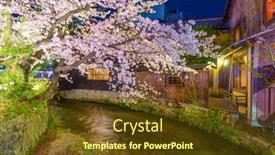  Presentation with japan cherry blossom - Beautiful theme featuring kyoto-japan-at-the-shirakawa backdrop and a tawny brown colored foreground
