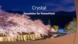  Presentation with japan cherry blossom - Colorful slide deck enhanced with kyoto-japan-on-the-okazaki backdrop and a navy blue colored foreground