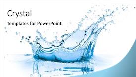  Presentation with blue water lily - Beautiful presentation featuring small spider crawled to the top of the grass looking surprised look backdrop and a tawny brown colored foreground