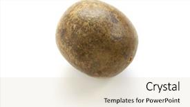  Presentation with traditional chinese medicine - PPT theme consisting of la han qua monk fruit background and a lemonade colored foreground