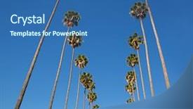  Presentation with los angeles - Cool new theme with la los angeles palm trees backdrop and a ocean colored foreground