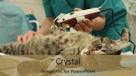  Presentation with sterilization - Presentation theme having la sterilisation medical - preparations for the surgical sterilization background and a coral colored foreground