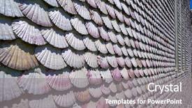  Presentation with sea shells - PPT layouts enhanced with la toja island toxa chapel background and a gray colored foreground