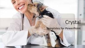  Presentation with vet - Amazing slide set having lab animal - cute puppy kissing female vet backdrop and a coral colored foreground
