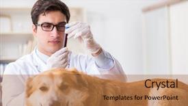  Presentation with doctor examining a newborn baby - Beautiful presentation design featuring lab animal - doctor examining golden retriever dog backdrop and a coral colored foreground