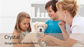  Presentation with lab animal - Presentation design with lab animal - kids at the veterinary doctor background and a coral colored foreground