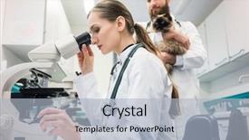  Presentation with veterinary laboratory - Beautiful PPT theme featuring lab animal - veterinarian doctors analyzing blood samples backdrop and a light blue colored foreground