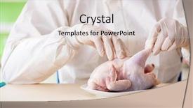  Presentation with gmo - Audience pleasing presentation theme consisting of lab assistant testing gmo chicken backdrop and a lemonade colored foreground