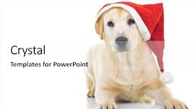  Presentation with white christmas - Beautiful theme featuring lab dog - labrador retriever wearing santa claus backdrop and a white colored foreground