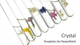  Presentation with tubes - Slides having laboratory - flowers in test tubes background and a white colored foreground