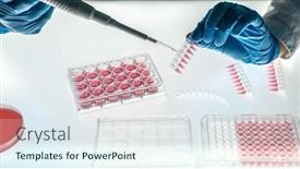  Presentation with pcr - Slide deck featuring laboratory-assistant-fills-a-96 background and a sky blue colored foreground