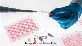  Presentation with pcr - PPT layouts enhanced with laboratory-assistant-fills-a-96 background and a lemonade colored foreground