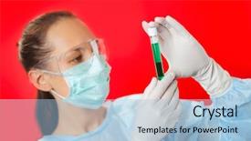  Presentation with red medical - Amazing PPT theme having birkhuhn black grouse tetrao tetrix blackgame lyrurus tetrix close up portrait of a lekking black grouse tetrao tetrix sunrise early morning forest backdrop and a coral colored foreground