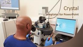  Presentation with fertilization - Beautiful slides featuring laboratory fertilization of eggs backdrop and a lemonade colored foreground