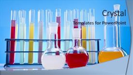  Presentation with laboratory animals - Colorful PPT layouts enhanced with laboratory glassware containing colorful liquid backdrop and a light blue colored foreground