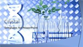  Presentation with laboratory equipment - Beautiful slides featuring laboratory glassware equipment experimental plant backdrop and a light blue colored foreground