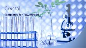  Presentation with laboratory equipment - Colorful PPT layouts enhanced with laboratory glassware equipment experimental plant backdrop and a light blue colored foreground