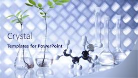  Presentation with laboratory equipment - Colorful slide deck enhanced with laboratory glassware equipment experimental plant backdrop and a sky blue colored foreground