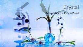  Presentation with genetically - PPT theme enhanced with laboratory-glassware-genetically-modified-plant background and a light blue colored foreground