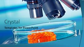  Presentation with food laboratory - PPT theme enhanced with laboratory-of-food-quality-tests background and a light blue colored foreground