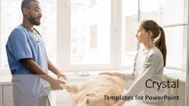  Presentation with sick dog - Slides enhanced with labrador dog with sick background and a soft green colored foreground