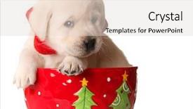  Presentation with cute christmas pug puppy dog - PPT layouts having labrador puppy in a christmas background and a  colored foreground