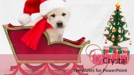  Presentation with dog sled - Beautiful PPT layouts featuring labrador puppy in christmas sled backdrop and a coral colored foreground