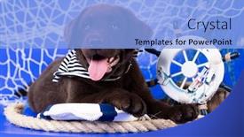  Presentation with puppy - Theme featuring labrador-puppy-rescuer-jung background and a  colored foreground
