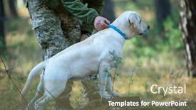  Presentation with woods - 