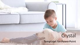  Presentation with dog - Slides having labrador retriever - cute little boy with dog background and a lemonade colored foreground