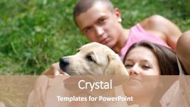 Presentation with dog adolescents - Beautiful theme featuring labrador retriever puppy - smiling couple with their dog backdrop and a  colored foreground