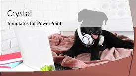  Presentation with eco friendly city - PPT theme with labrador retriever puppy with headphones background and a white colored foreground